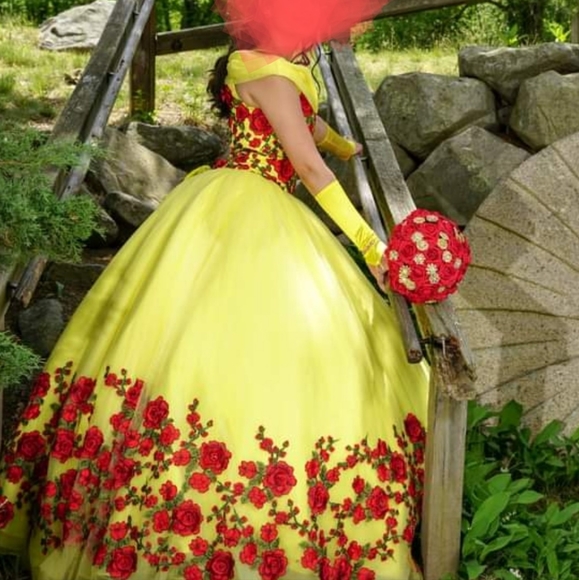 Quinceañera bundle dress size 6 , bouquet red roses and rhinestones, and bear - Picture 5 of 8